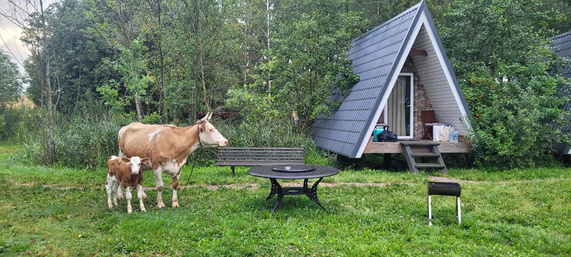 Vigio Brasta Camping Elektrenai Exterior foto